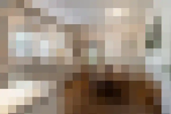 Moltbos 34 Landgraaf thumbnail 11