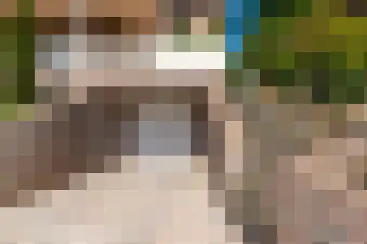 Moltbos 34 Landgraaf thumbnail 4