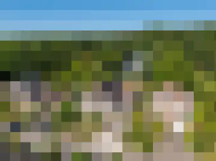 Moltbos 34 Landgraaf thumbnail 47