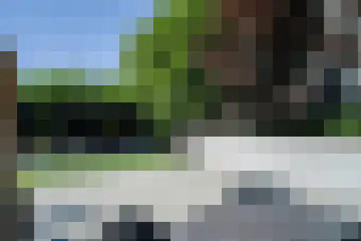 Moltbos 4 Landgraaf thumbnail 13