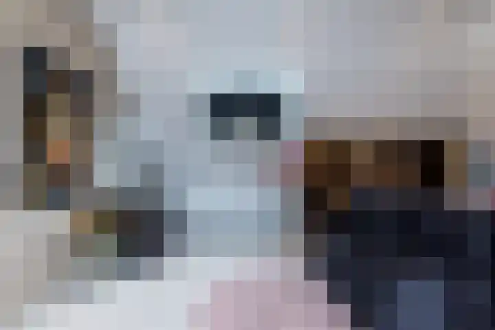 Moltbos 4 Landgraaf thumbnail 37