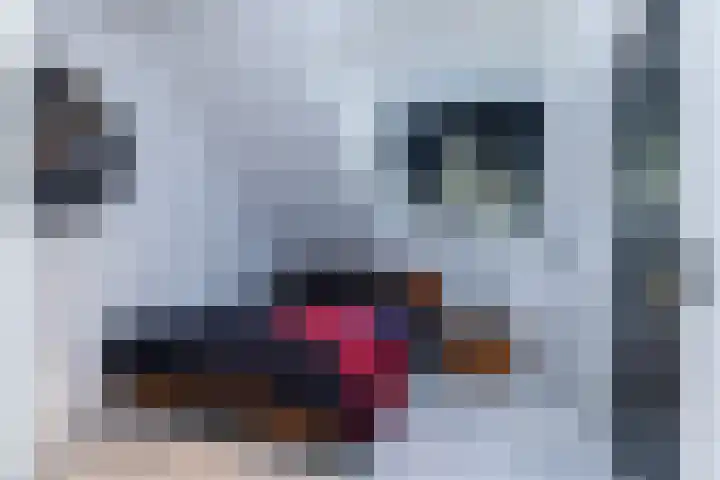 Moltbos 4 Landgraaf thumbnail 41