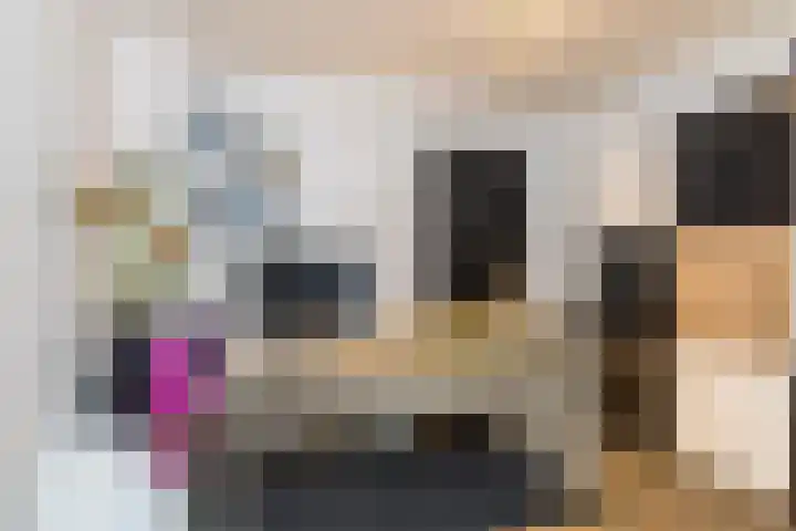 Moltbos 4 Landgraaf thumbnail 45