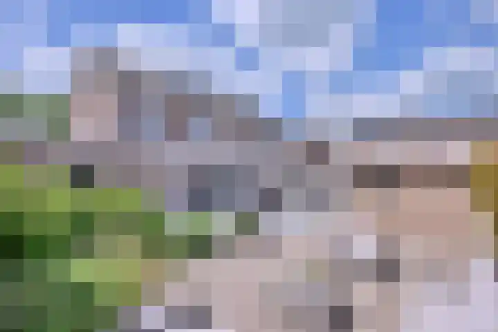 Moltbos 4 Landgraaf thumbnail 58