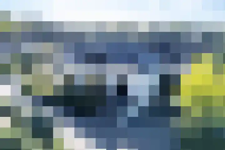 Moltbos 4 Landgraaf thumbnail 65