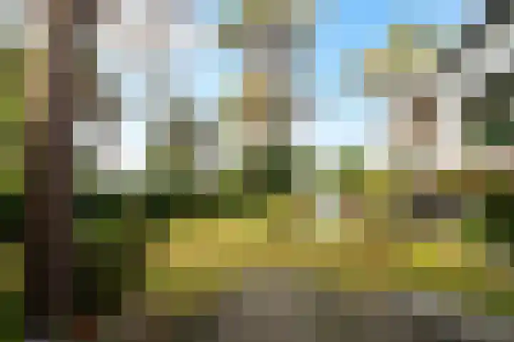 Moltweg 70 Landgraaf thumbnail 26