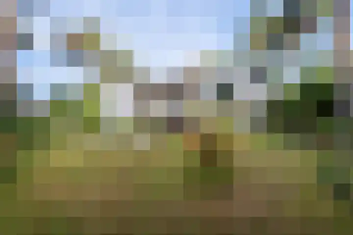 Moltweg 70 Landgraaf thumbnail 28