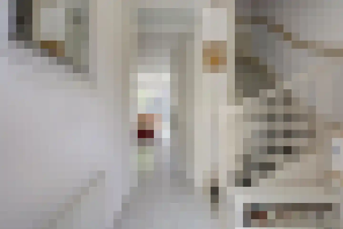 Moltzerstraat 8 Rotterdam thumbnail 8