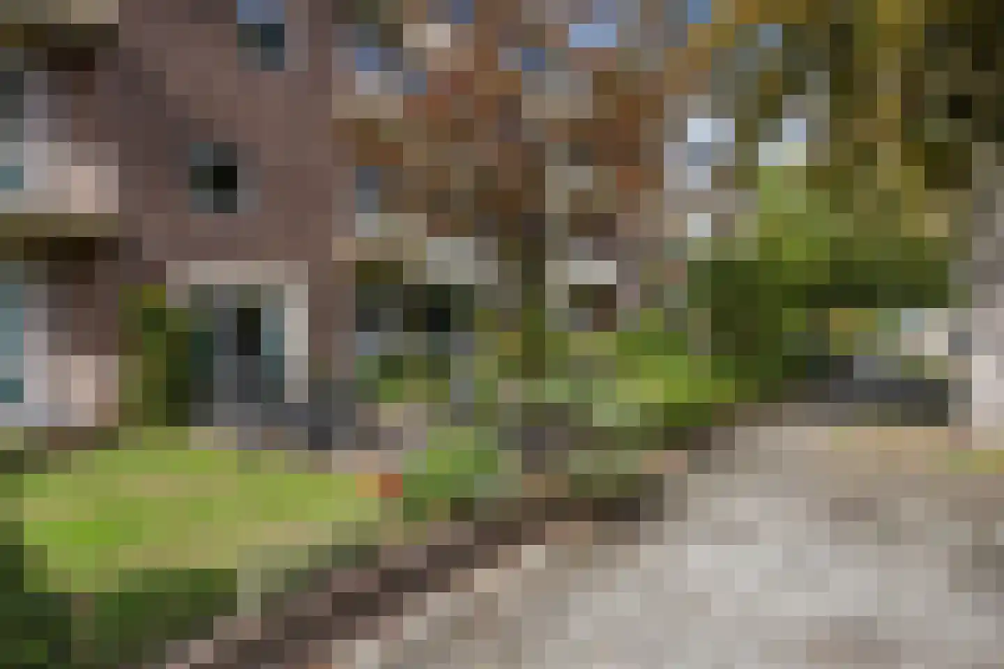 Molukkenstraat 188 Nijmegen thumbnail 20