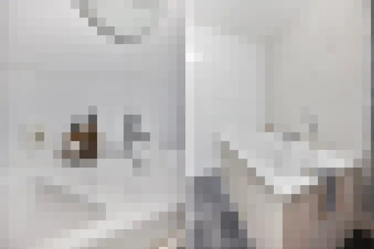 Molukkenstraat 2 Utrecht thumbnail 35