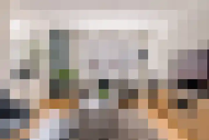 Molukkenstraat 21 Utrecht thumbnail 7