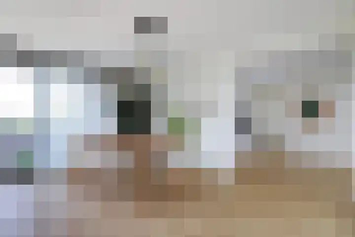 Molukkenstraat 3 H Nijmegen thumbnail 15