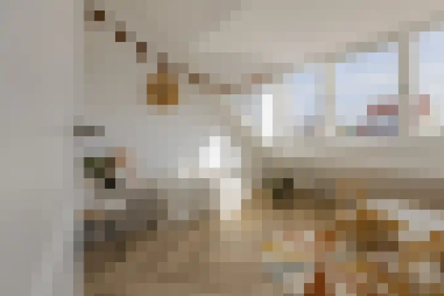 Molukkenstraat 3 Haarlem thumbnail 63