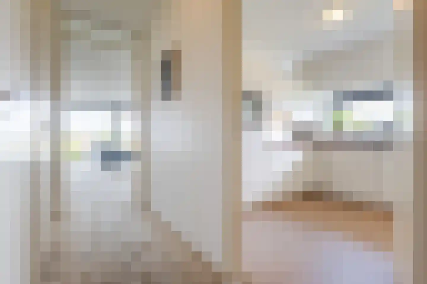 Molukkenstraat 3 K Nijmegen thumbnail 20