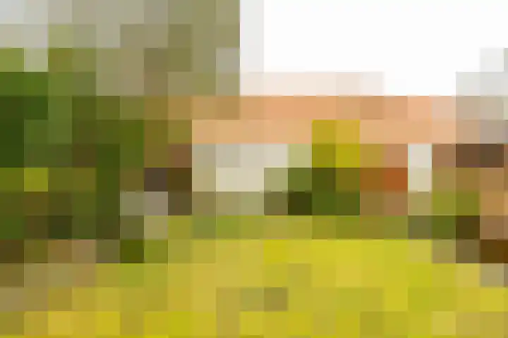 Molukkenstraat 40 Groningen thumbnail 36