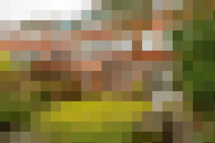 Molukkenstraat 40 Groningen thumbnail 38