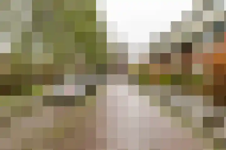 Molukkenstraat 40 Groningen thumbnail 5