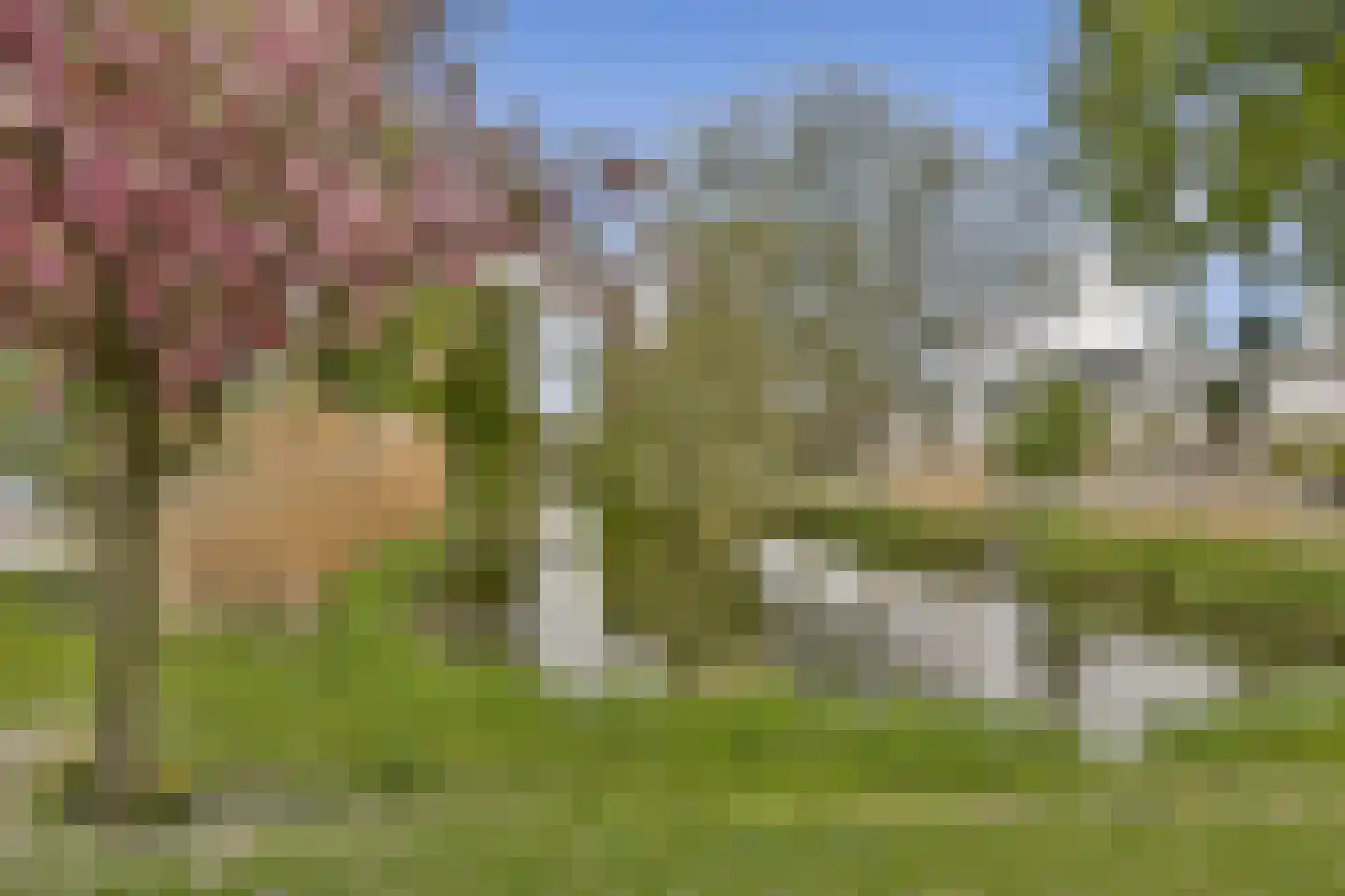 Molukkenstraat 42 Vlaardingen thumbnail 24