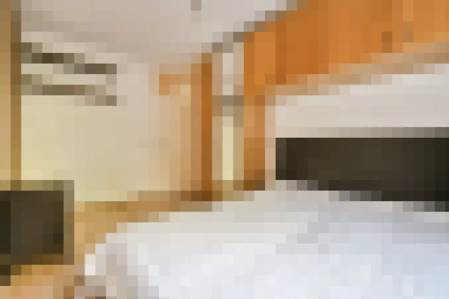 Molukkenstraat 447 Amsterdam thumbnail 12