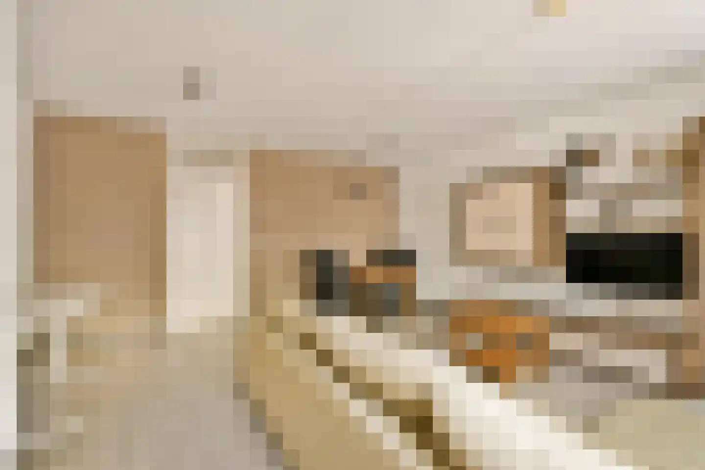Molukkenstraat 447 Amsterdam thumbnail 7