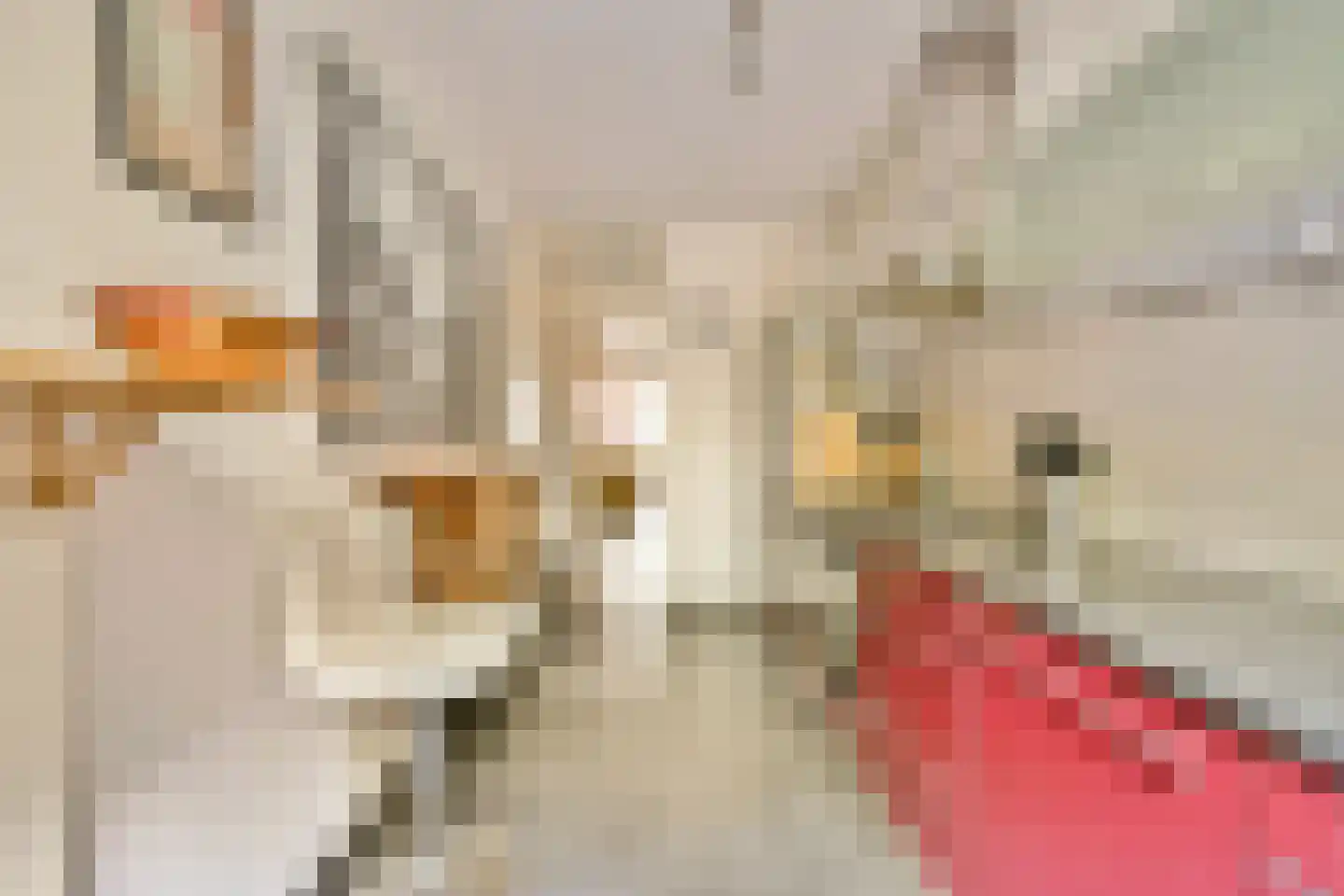Molukkenstraat 447 Amsterdam thumbnail 8