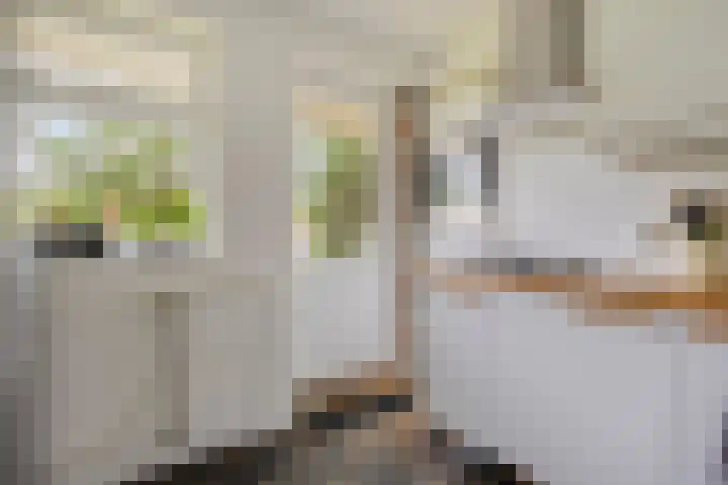 Molukkenstraat 46 Groningen thumbnail 10