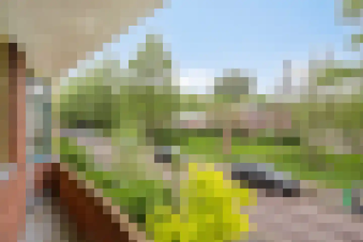 Molukkenstraat 46 Groningen thumbnail 14