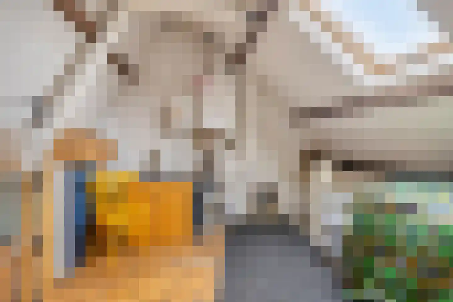 Molukkenstraat 46 Groningen thumbnail 29
