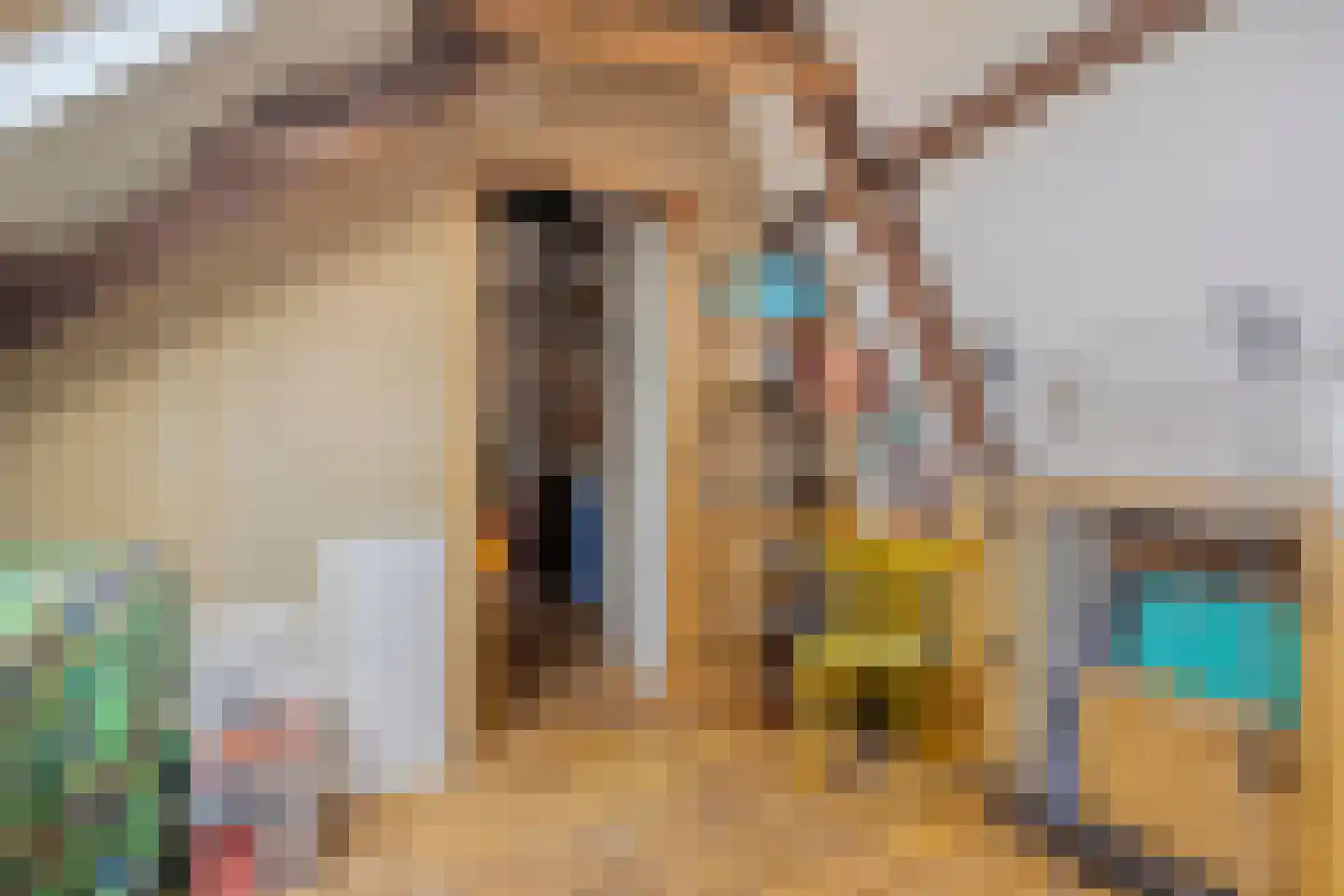 Molukkenstraat 46 Groningen thumbnail 30