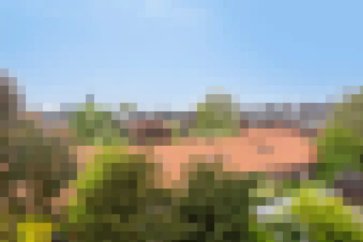 Molukkenstraat 46 Groningen thumbnail 36
