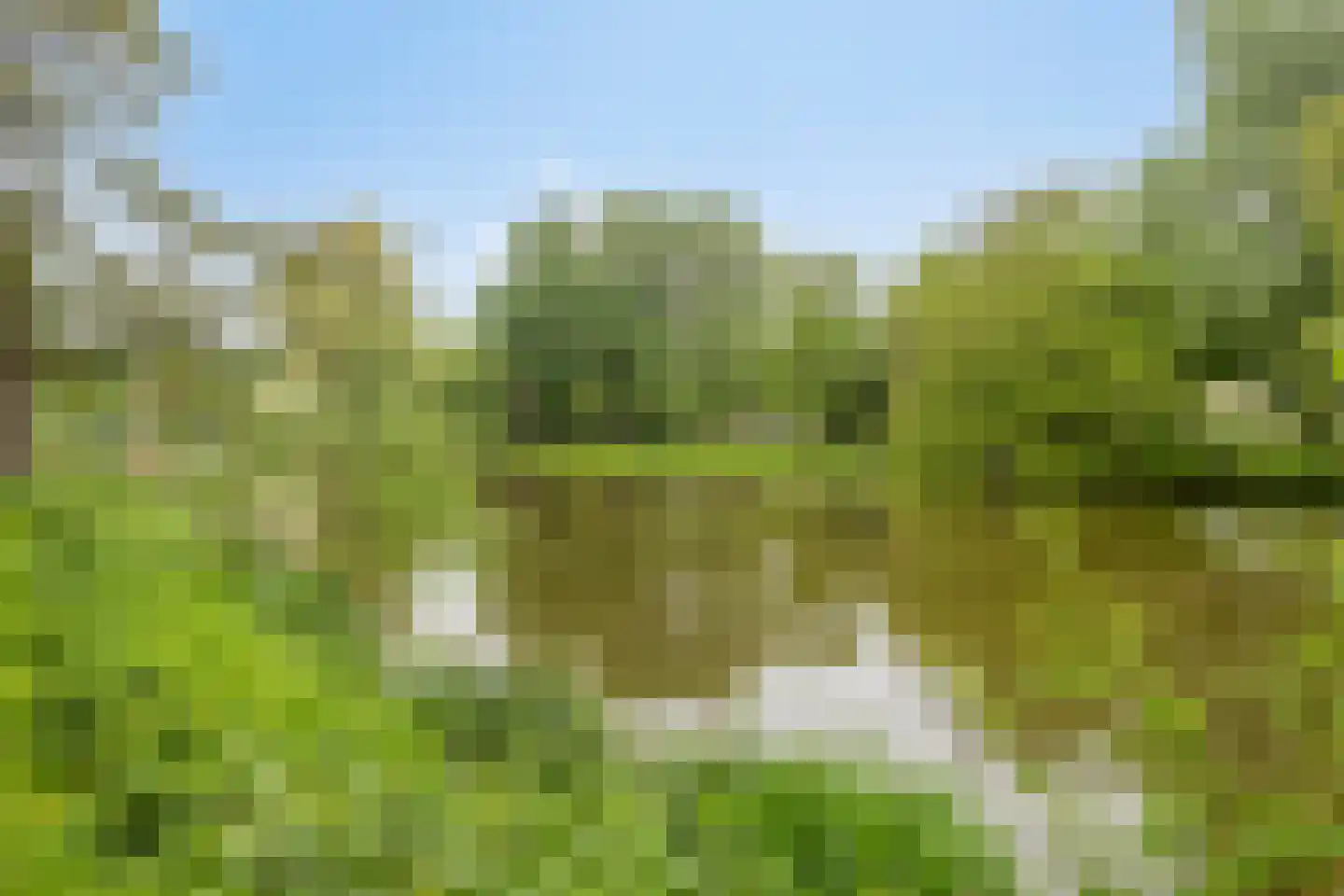 Molukkenstraat 46 Groningen thumbnail 37