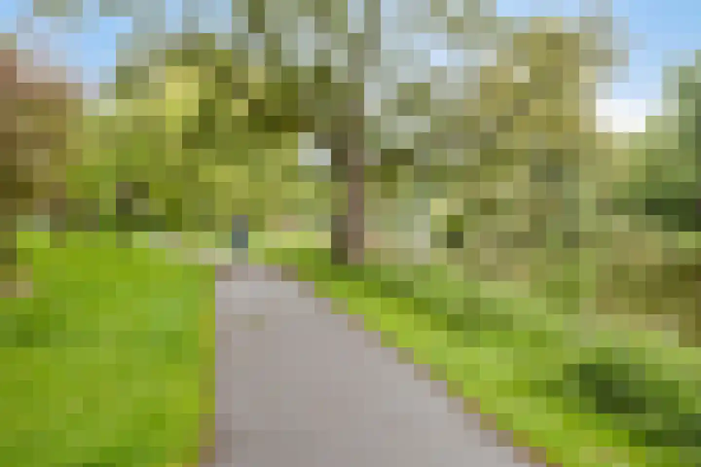 Molukkenstraat 46 Groningen thumbnail 38
