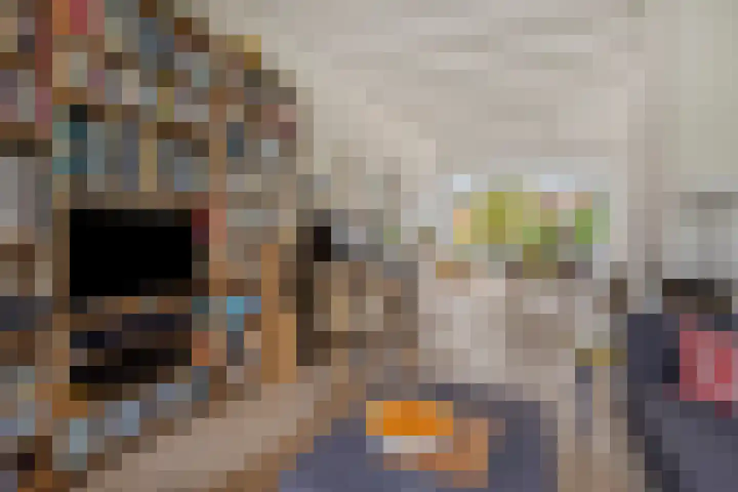 Molukkenstraat 46 Groningen thumbnail 9