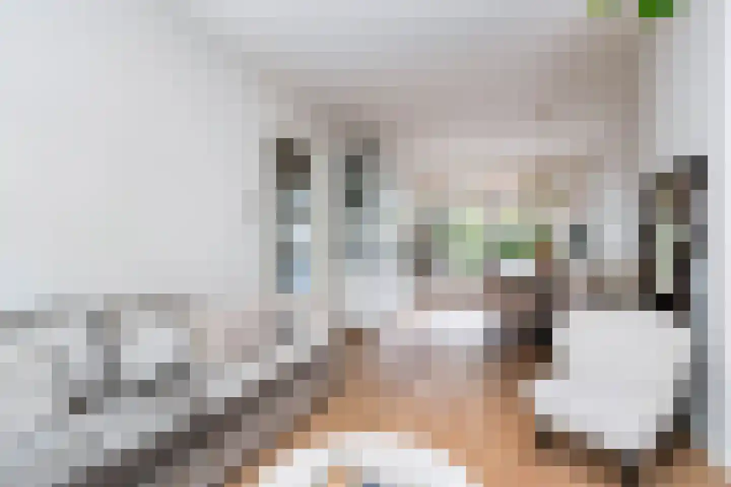 Molukkenstraat 5 Baarn thumbnail 12