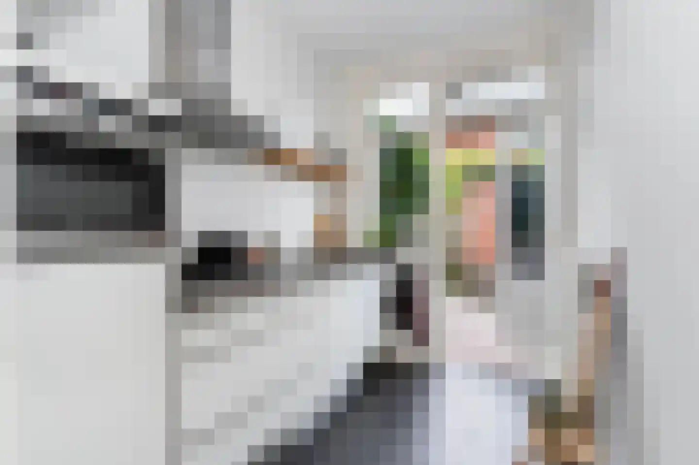 Molukkenstraat 5 Baarn thumbnail 16