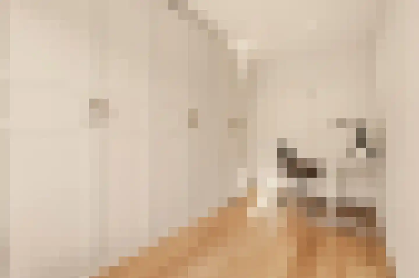 Molukkenstraat 503 Amsterdam thumbnail 25