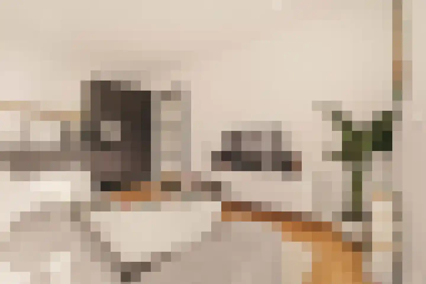 Molukkenstraat 503 Amsterdam thumbnail 4