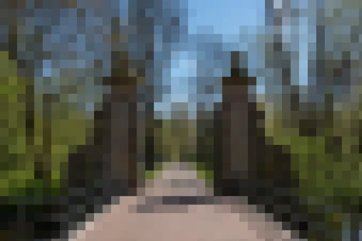 Molukkenstraat 503 Amsterdam thumbnail 47