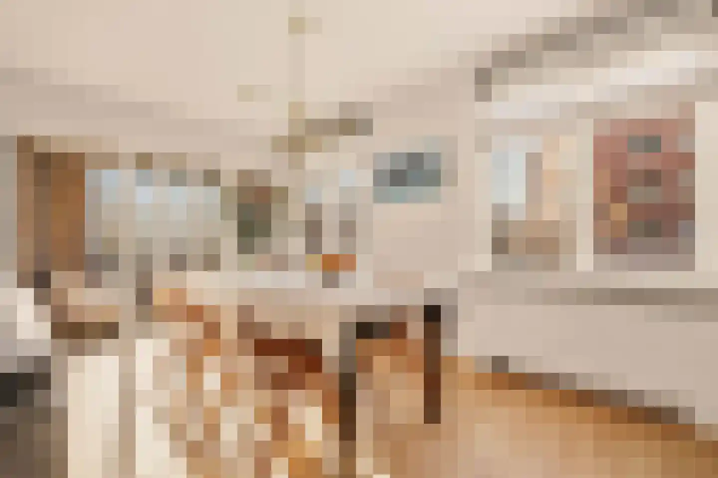 Molukkenstraat 503 Amsterdam thumbnail 5