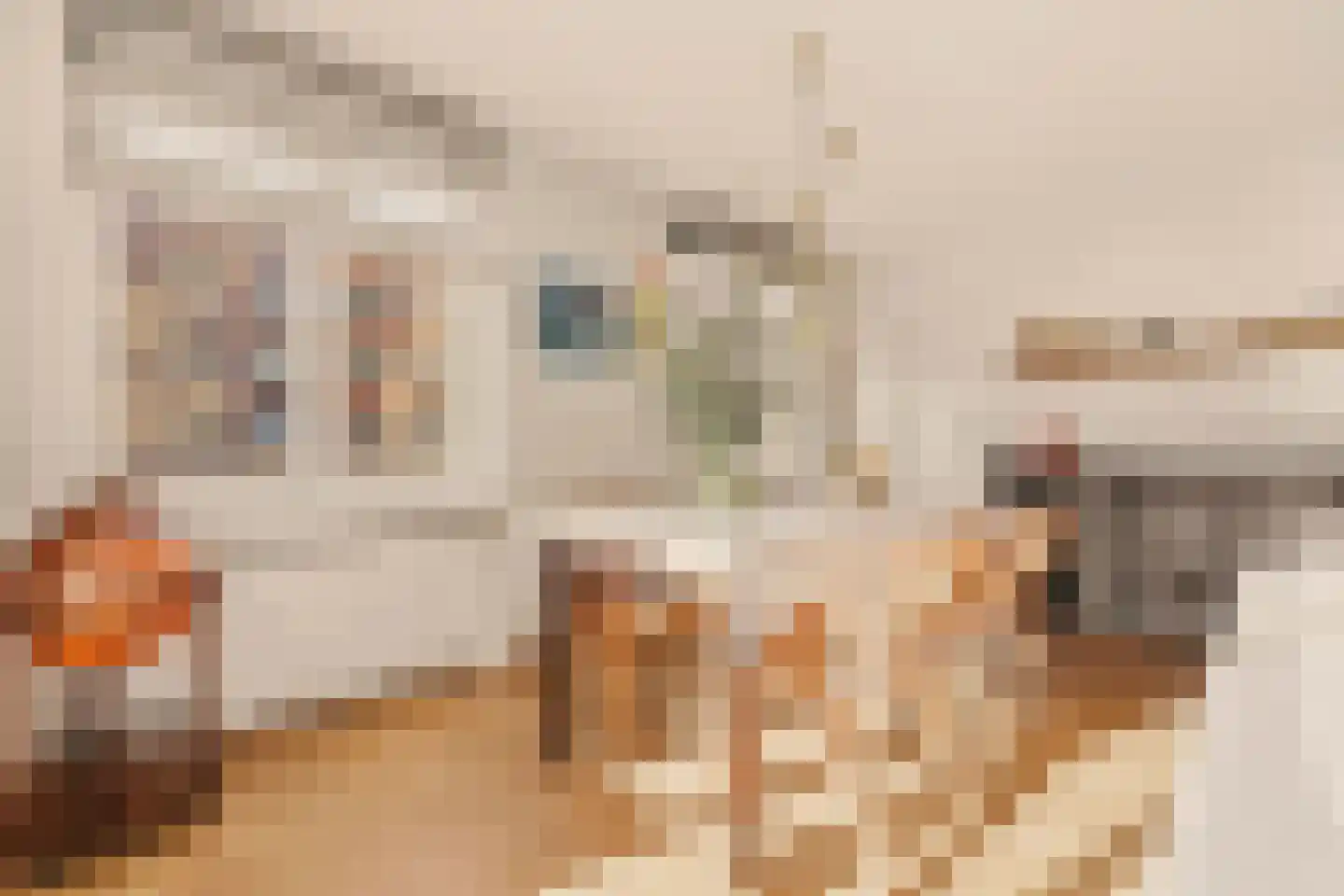 Molukkenstraat 503 Amsterdam thumbnail 6