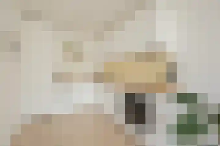 Molukkenstraat 525 Amsterdam thumbnail 11