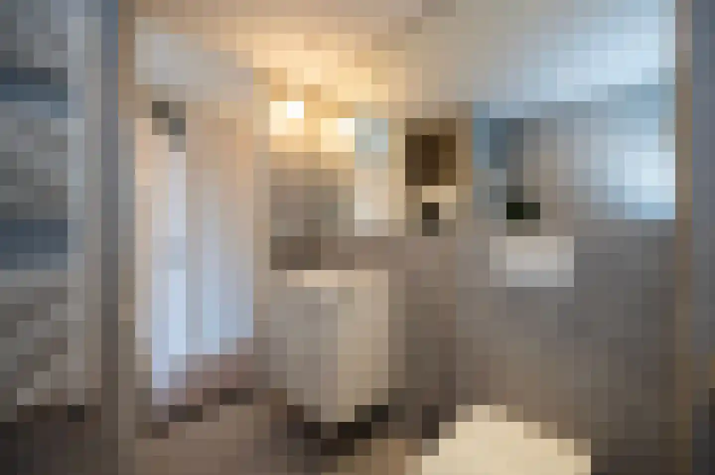 Molukkenstraat 529 Amsterdam thumbnail 15