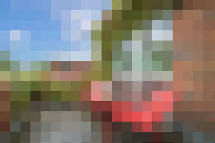 Molukkenstraat 59 Utrecht thumbnail 7