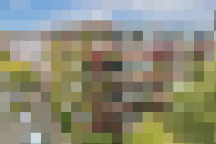 Molukkenstraat 59 Utrecht thumbnail 8