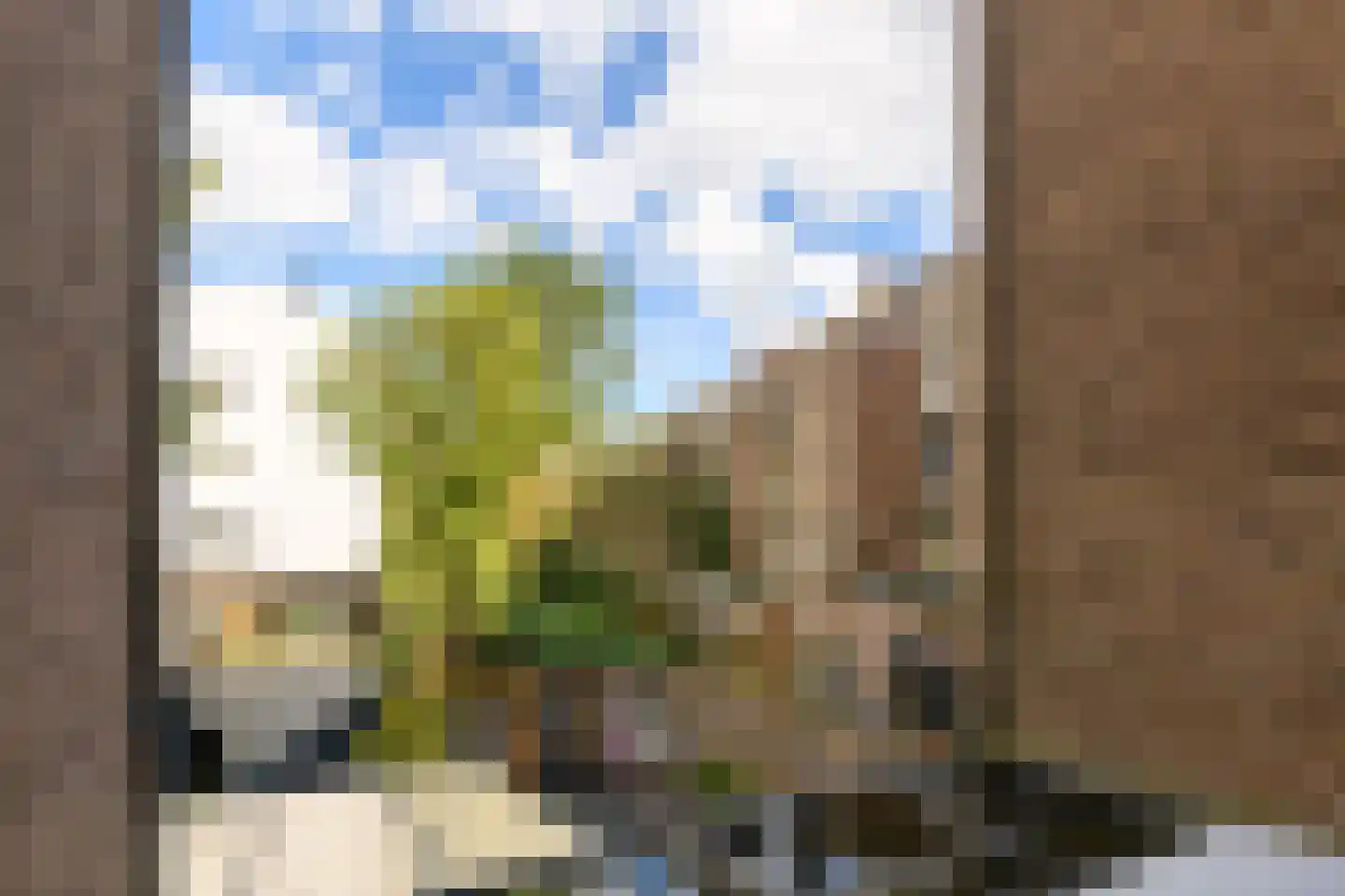 Molukkenstraat 61 1 Amsterdam thumbnail 17