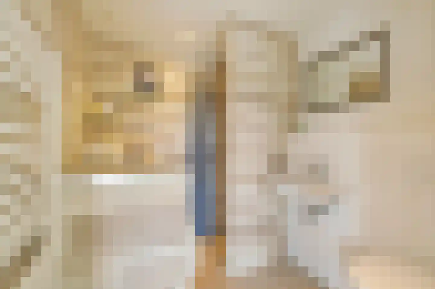 Molukkenstraat 69 4 Amsterdam thumbnail 24
