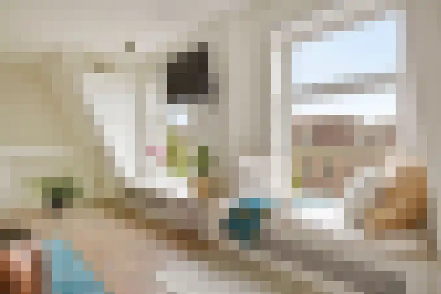 Molukkenstraat 69 4 Amsterdam thumbnail 9