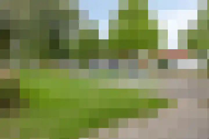 Molukkenstraat 7 Maastricht thumbnail 38