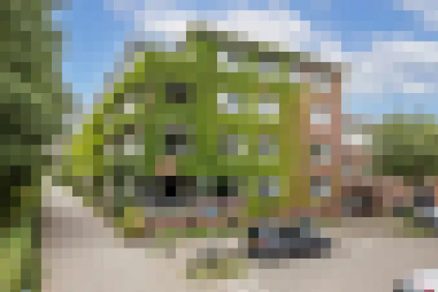 Molukkenstraat 8 Utrecht thumbnail 26