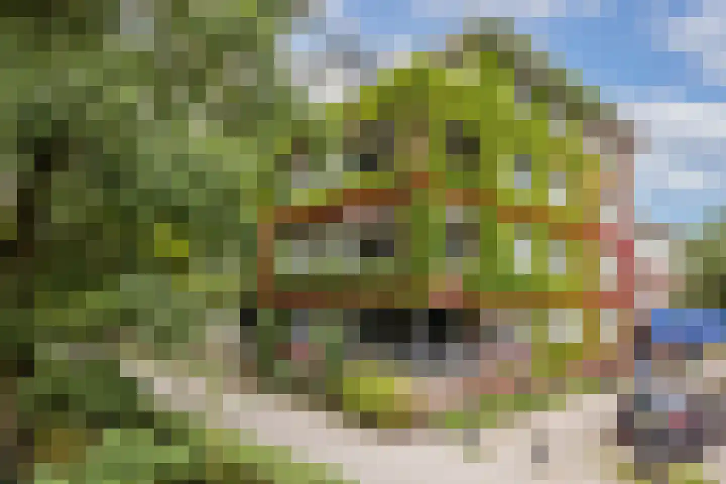 Molukkenstraat 8 Utrecht thumbnail 6